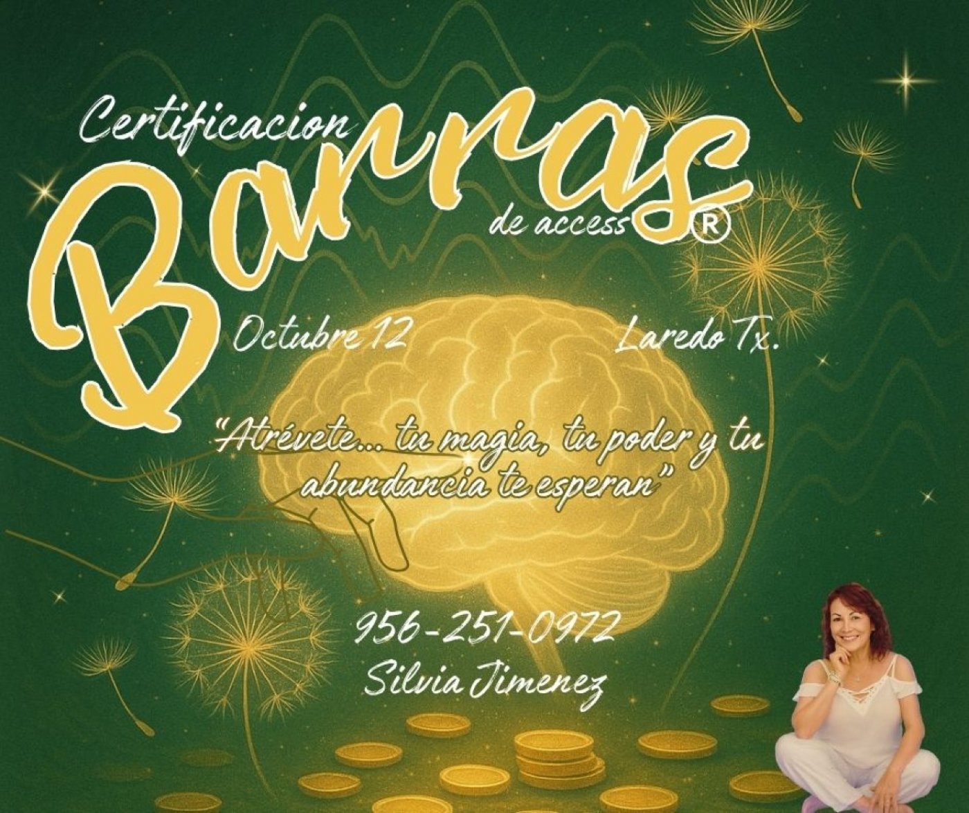 BARRAS DE ACCESS   Certificacion Internacional