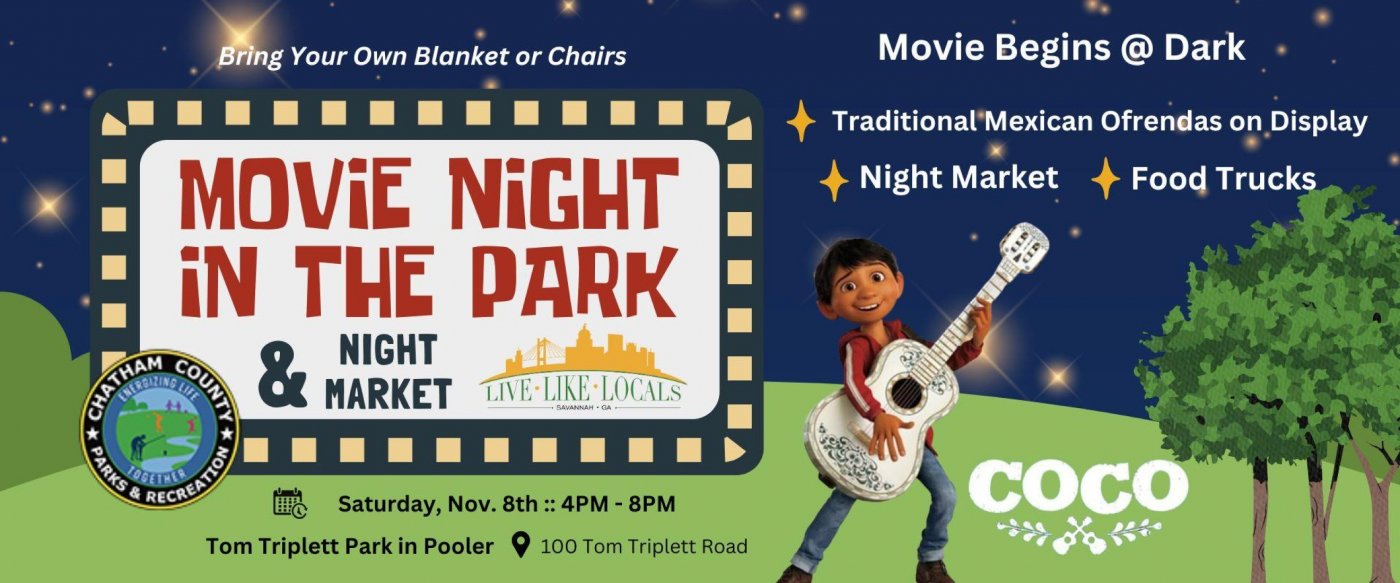 Movie Night in the Park