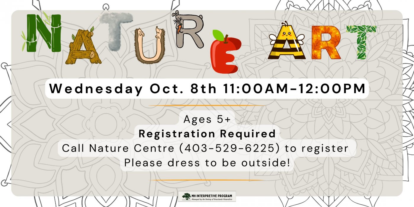 Nature Art Program