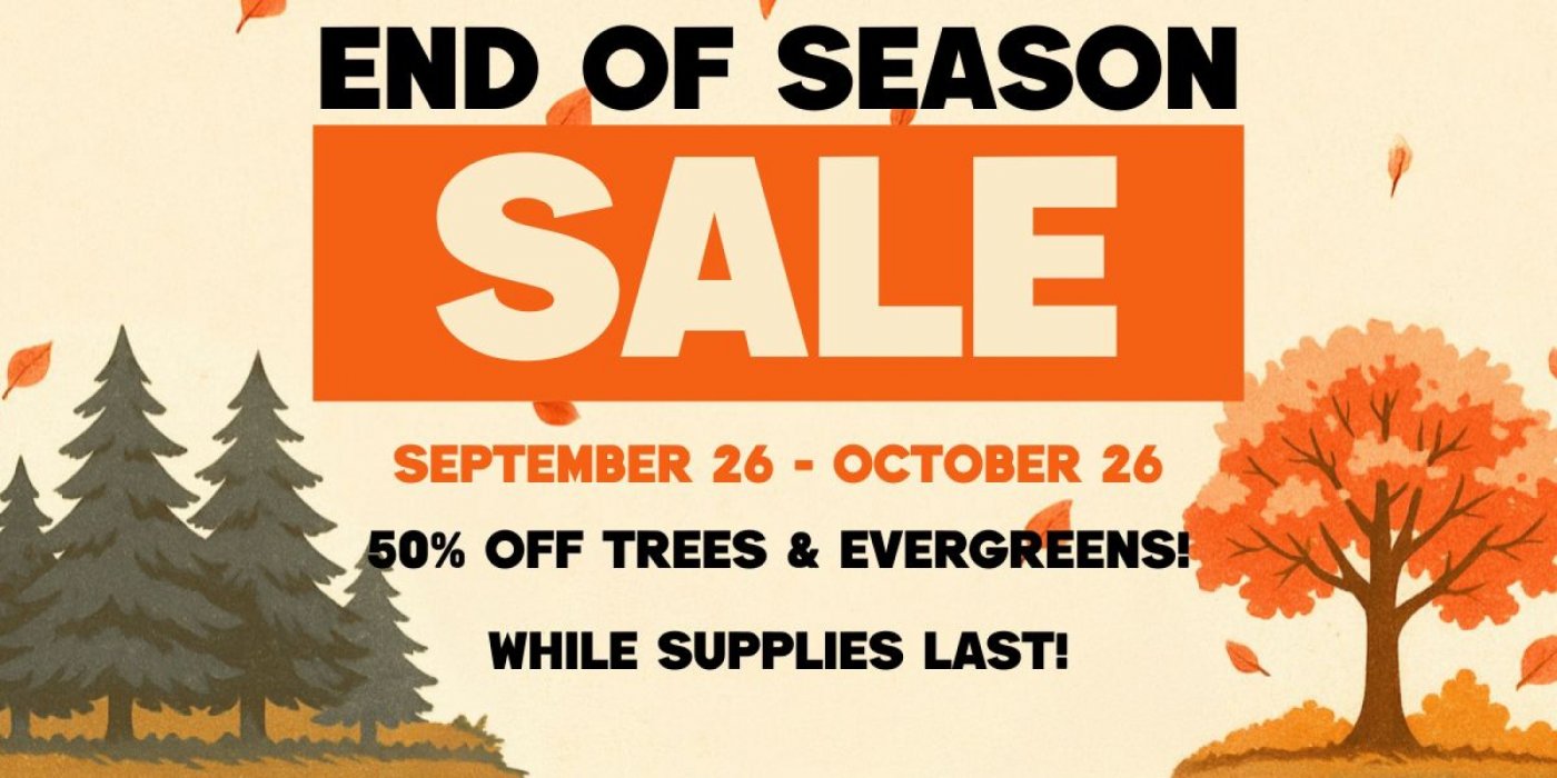 End of Season Sale