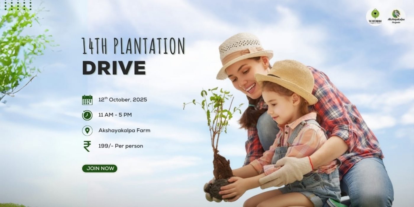 14th Plantation Drive