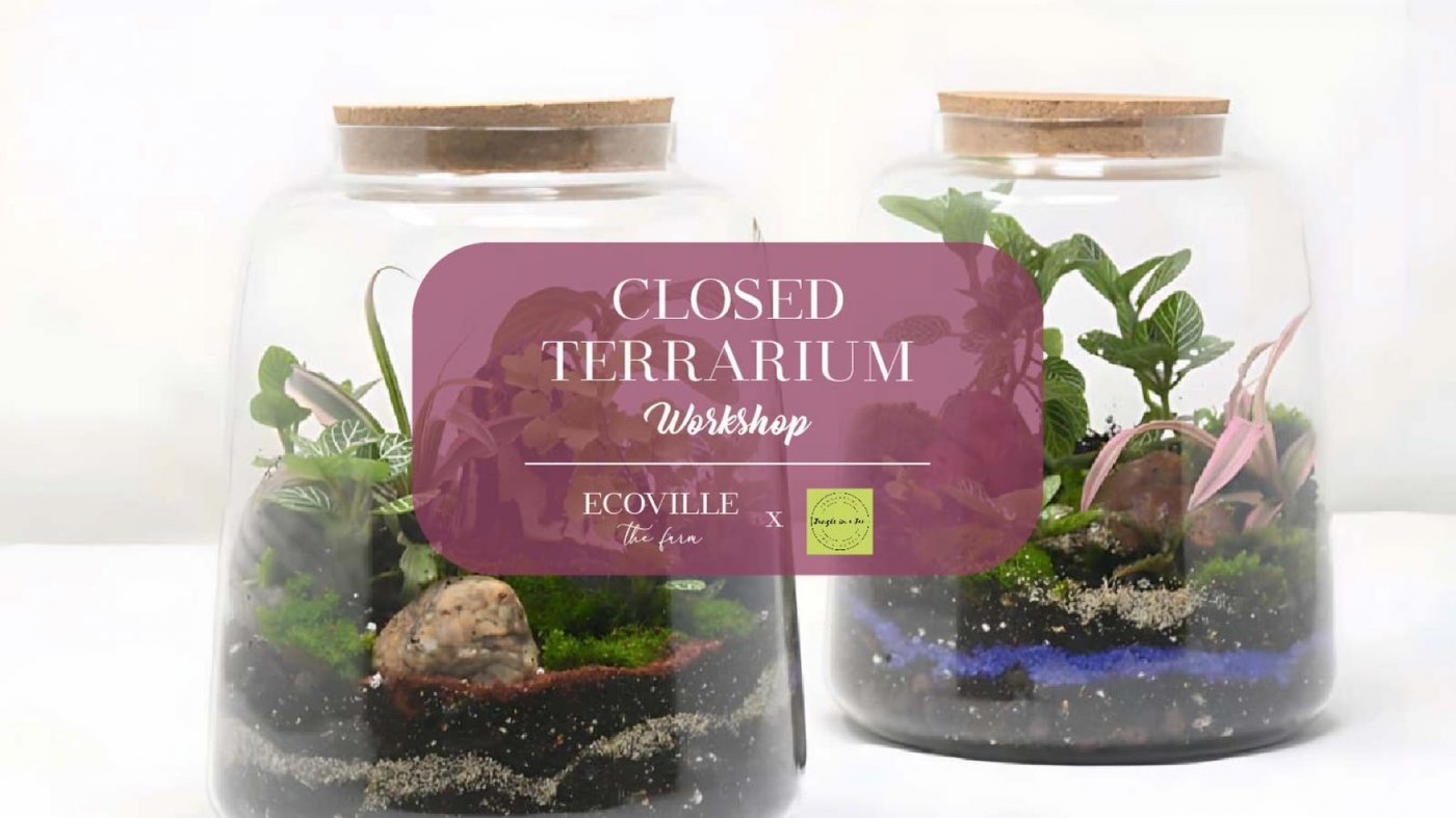Closed Terrarium Workshop