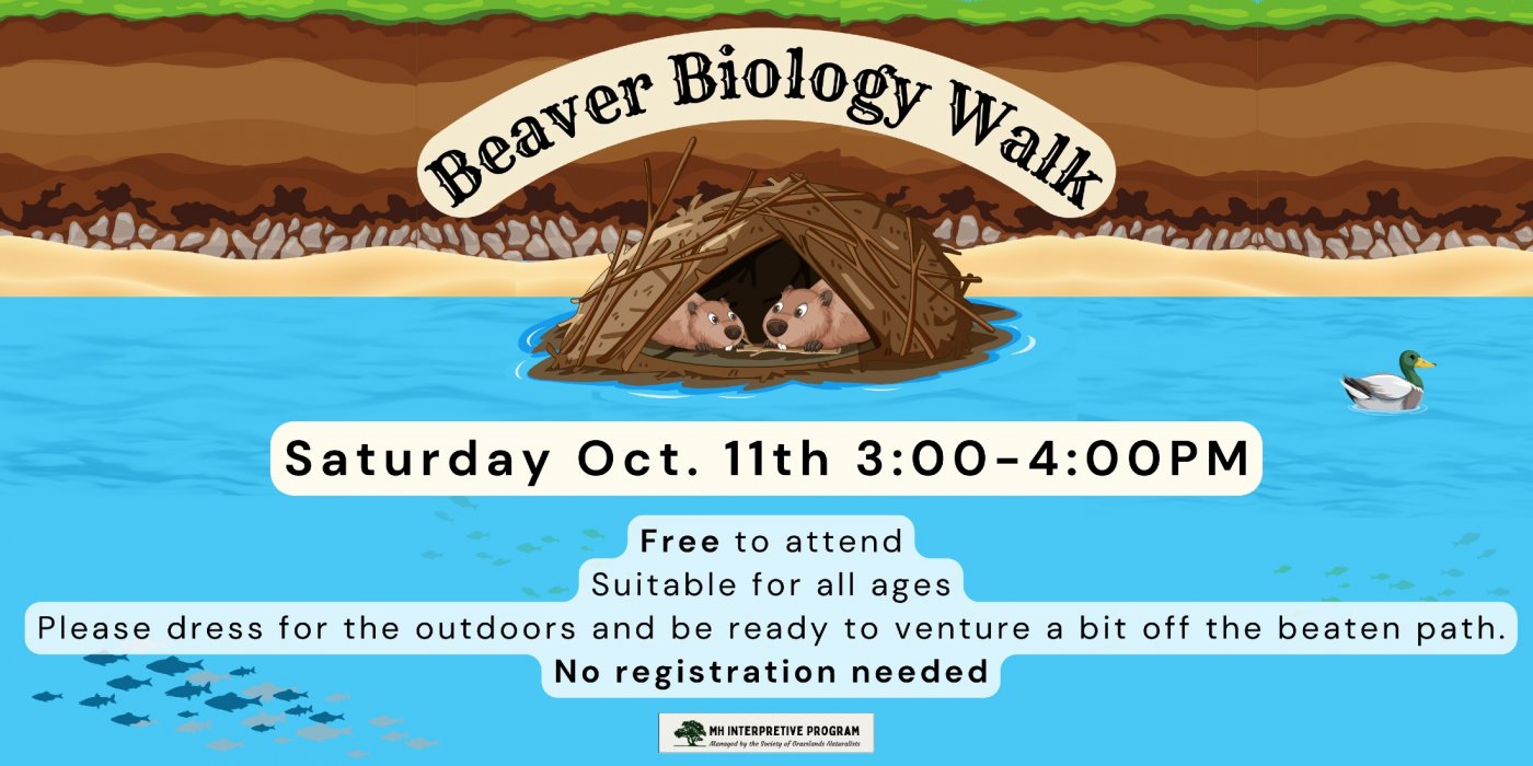 Beaver Biology Walk