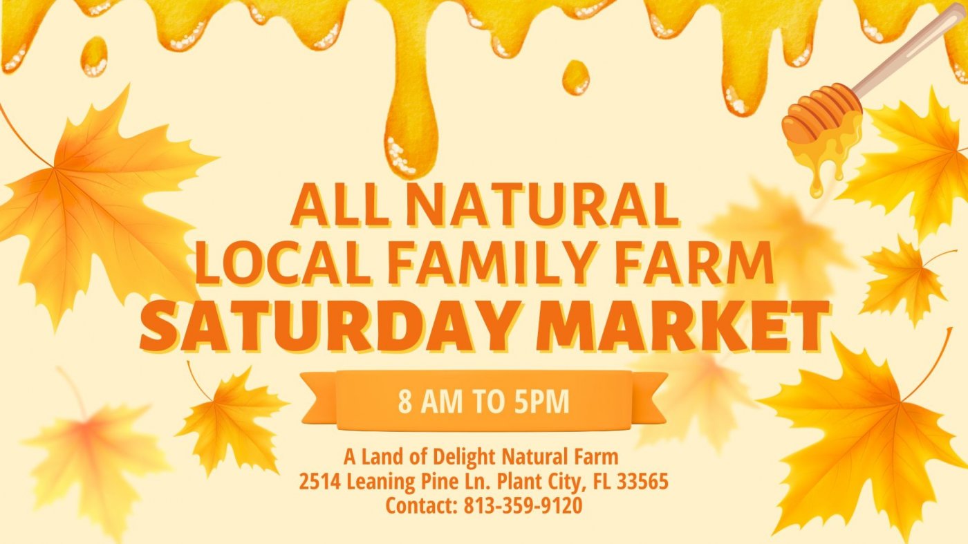 Central Florida's Local Family Farm Saturday Market