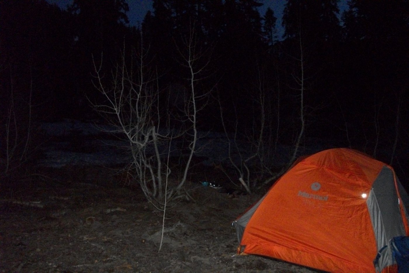 Tahoe Forest Backpacking