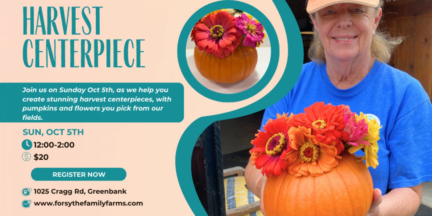 Create a Harvest Centerpiece
