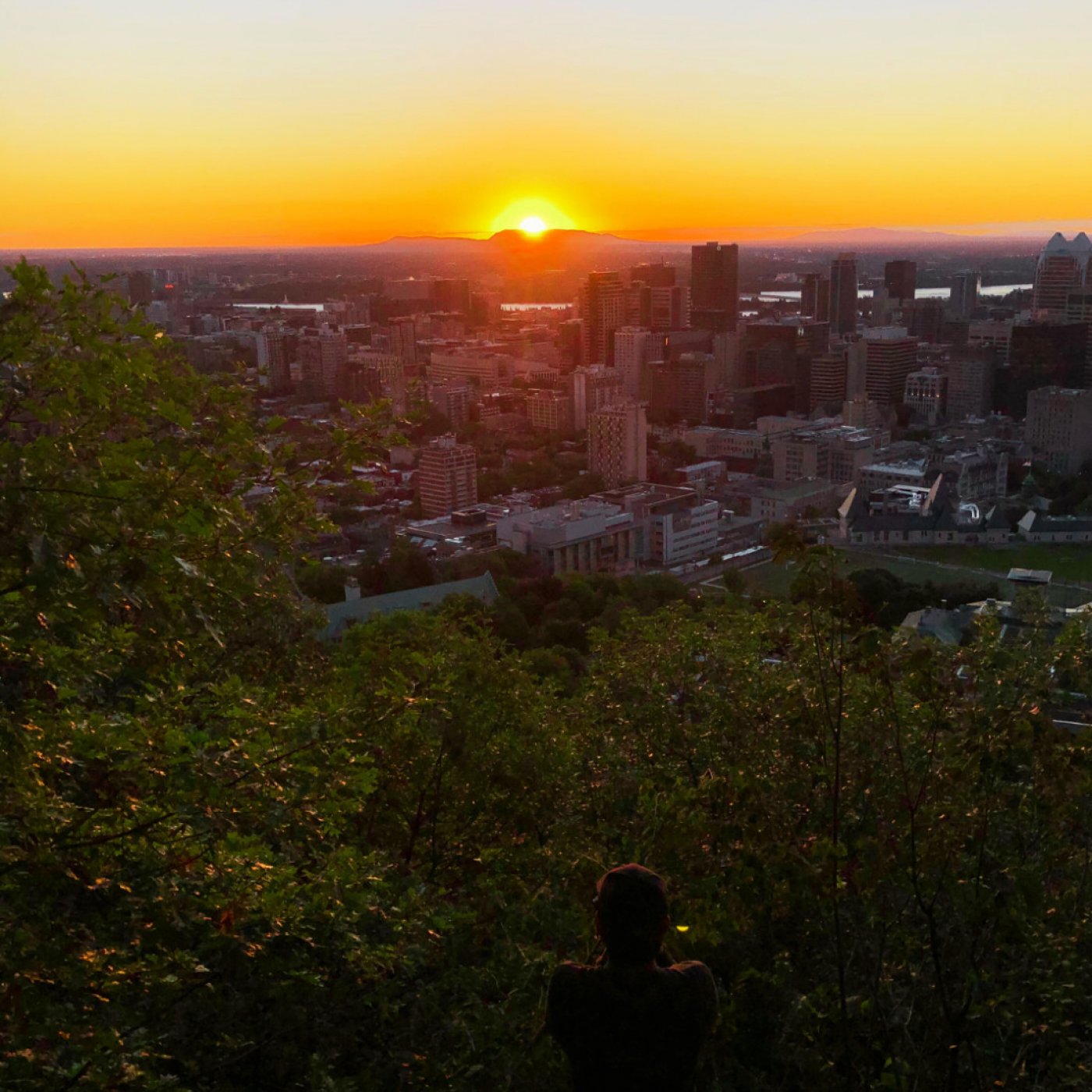 Sunrise Meditation on Mount Royal