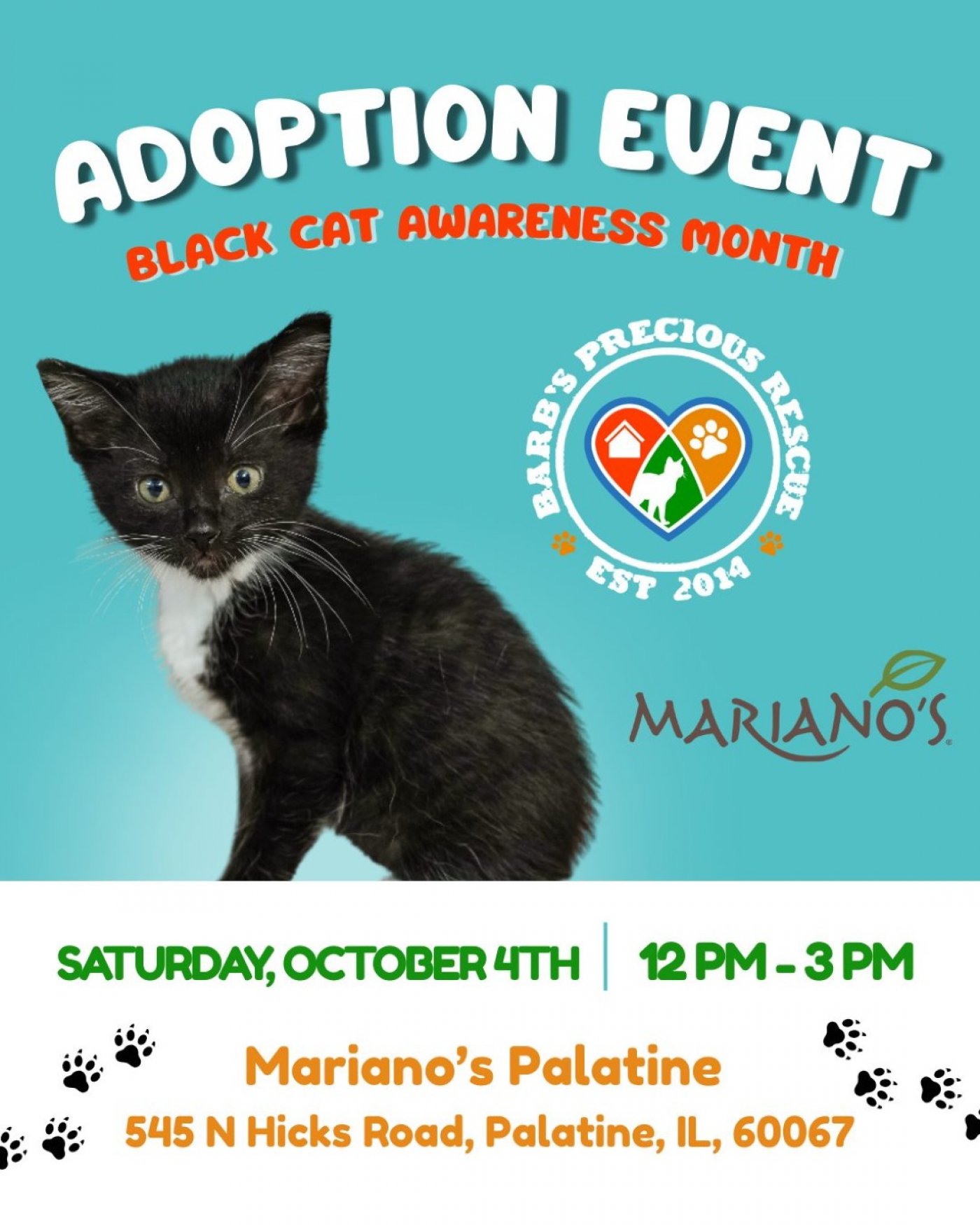 Black Cat Awareness Pet Adoption Event with Barb's Precious Rescue