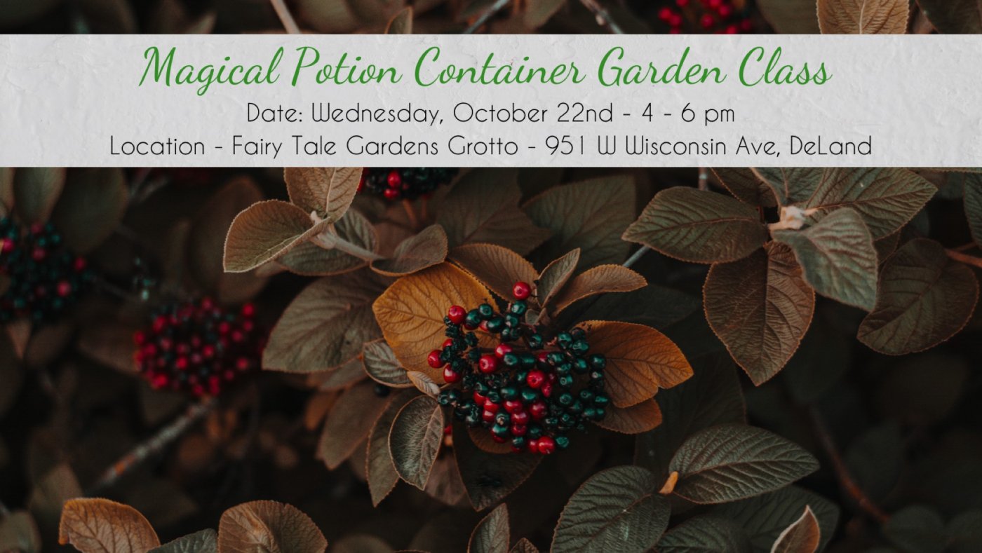 Magical Potion Container Garden Class