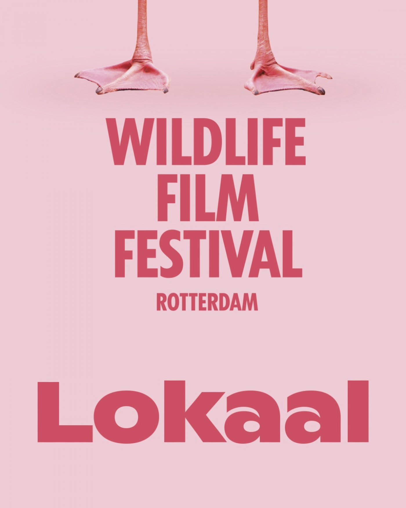 Wildlife filmfestival Lokaal bij Het Witte Paard met "De Monding van Morgen"