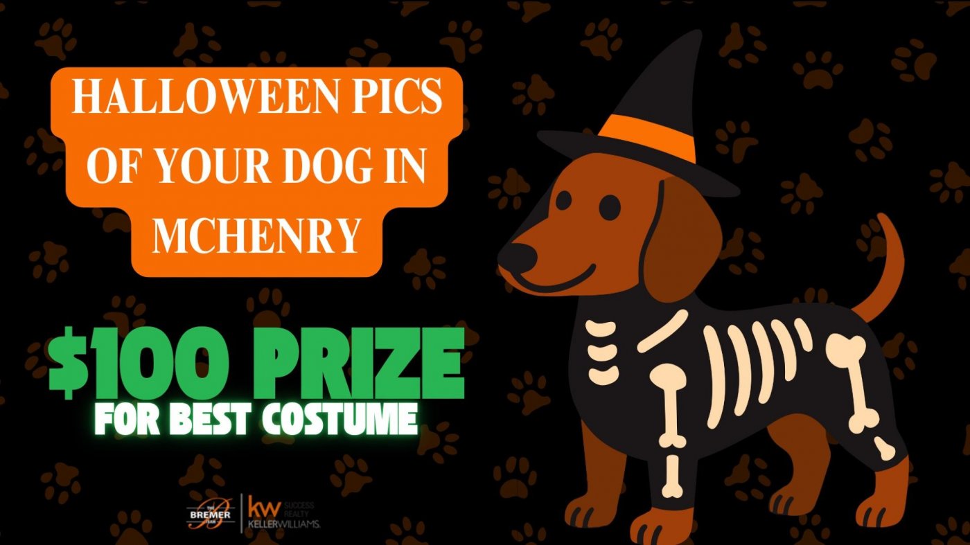 Free Howl-O-Ween Dog Photos & a $100 Treat for the Best Costume!