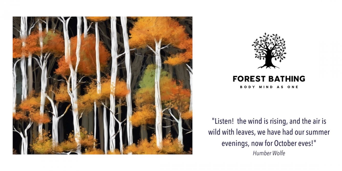 Autumn Forest Bathing
