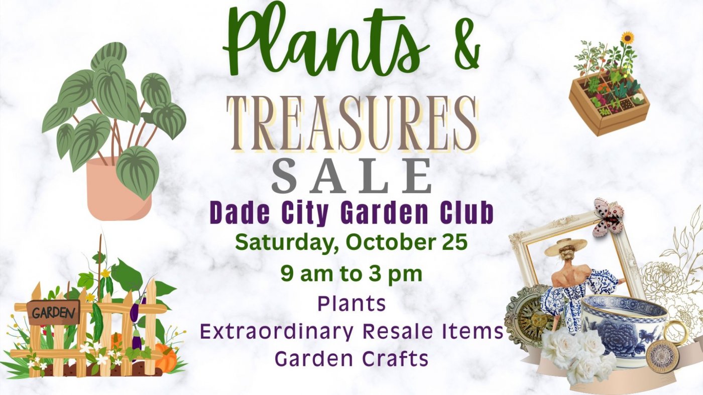 Plants & Treasures SALE