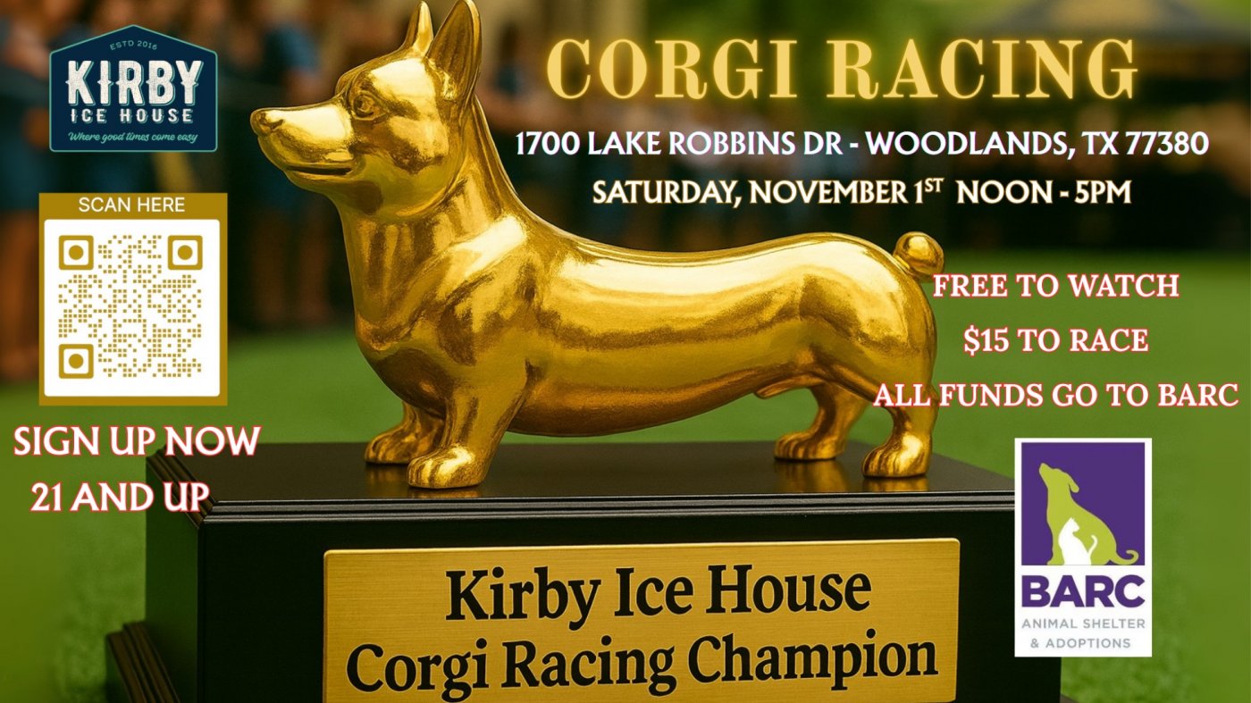 Corgi Racing @ Kirby Ice House