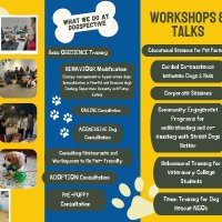 DOGSPECTIVE BY NIDHI