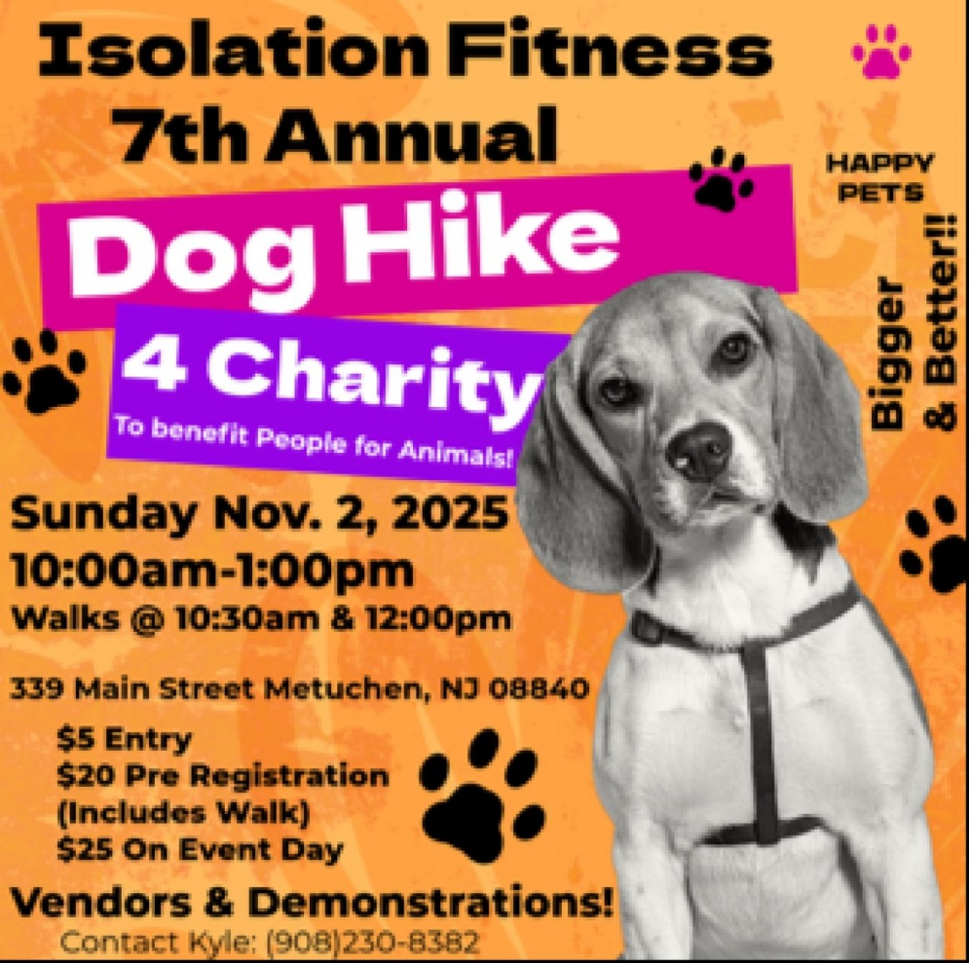 Dog Hike 4 Charity