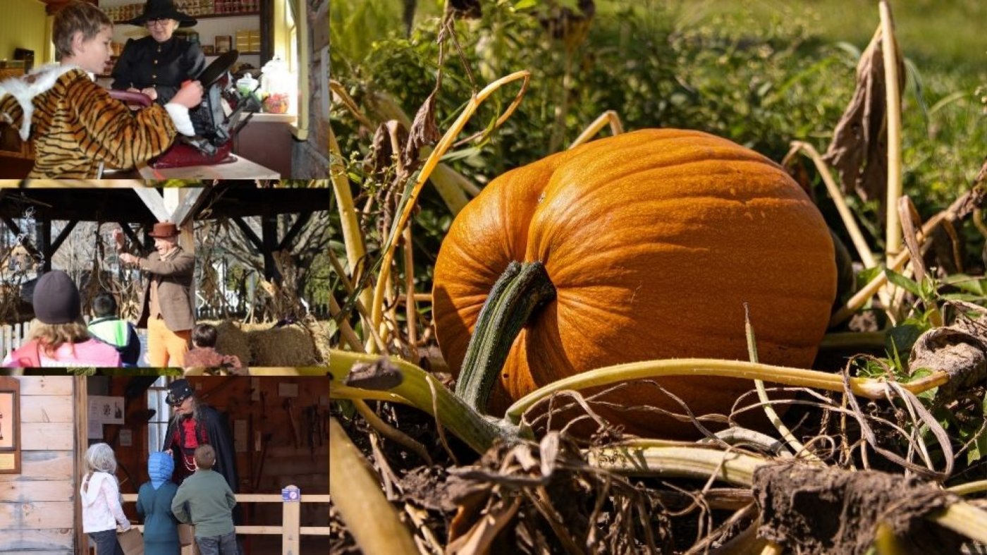 Halloween Hijinks \/ Les frissons d'Halloween