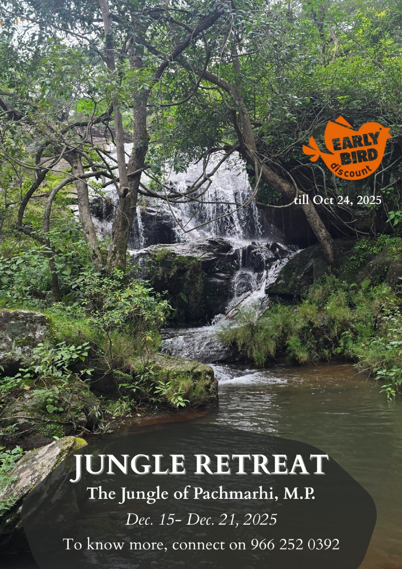 Jungle Retreat- Pachmarhi, M.P
