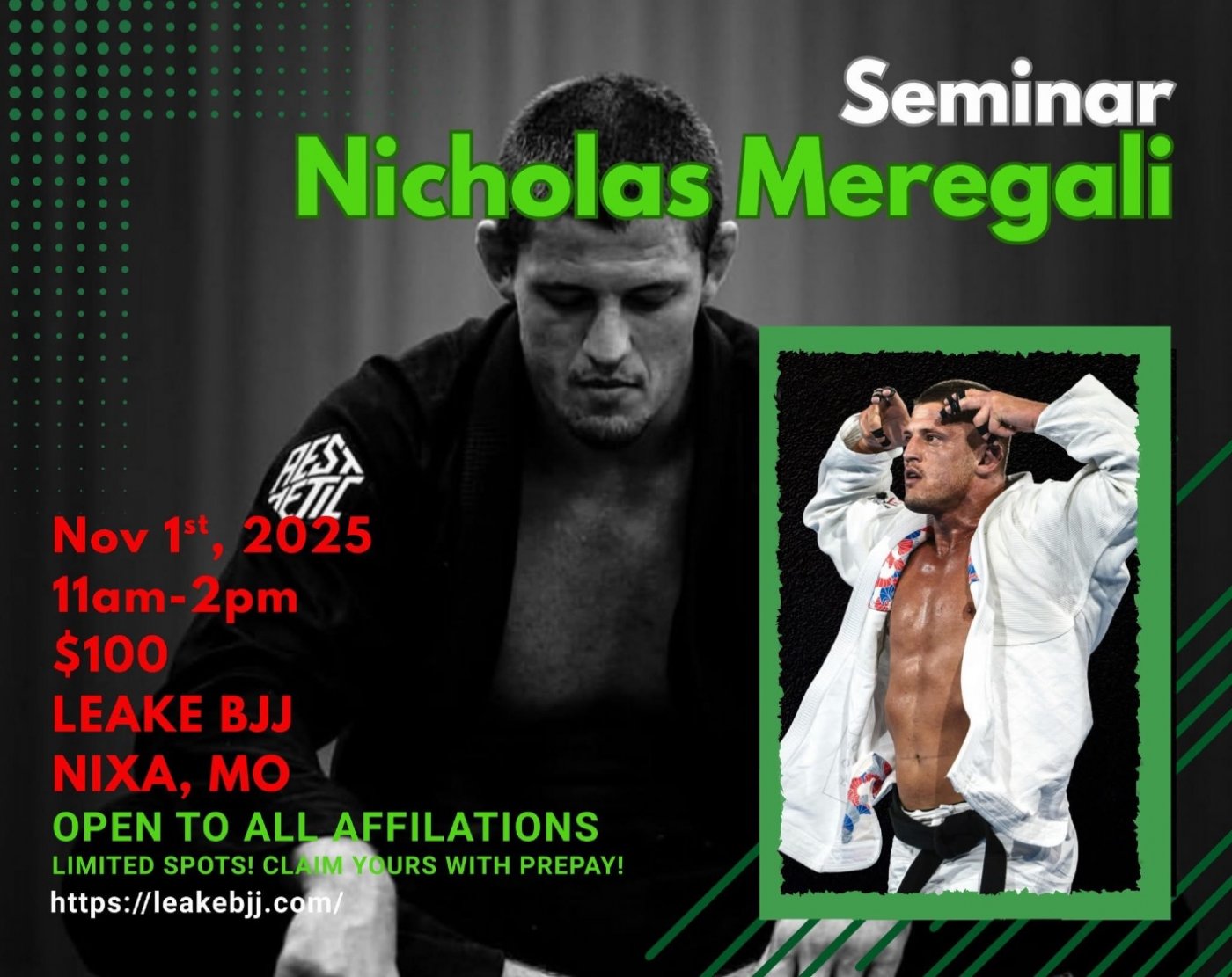 Nicholas Meregali BJJ Seminar