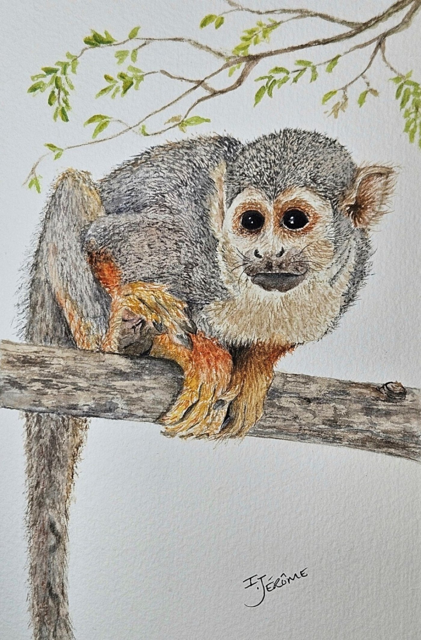 Kanata Art Club 2025 Christmas $200 and Under Sale 