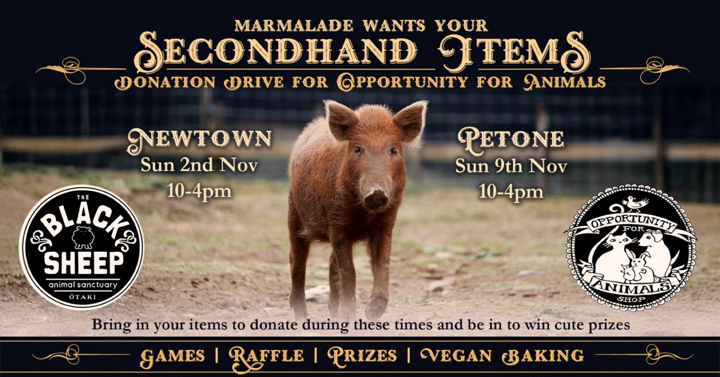 Spring Cleaning Donation Drive