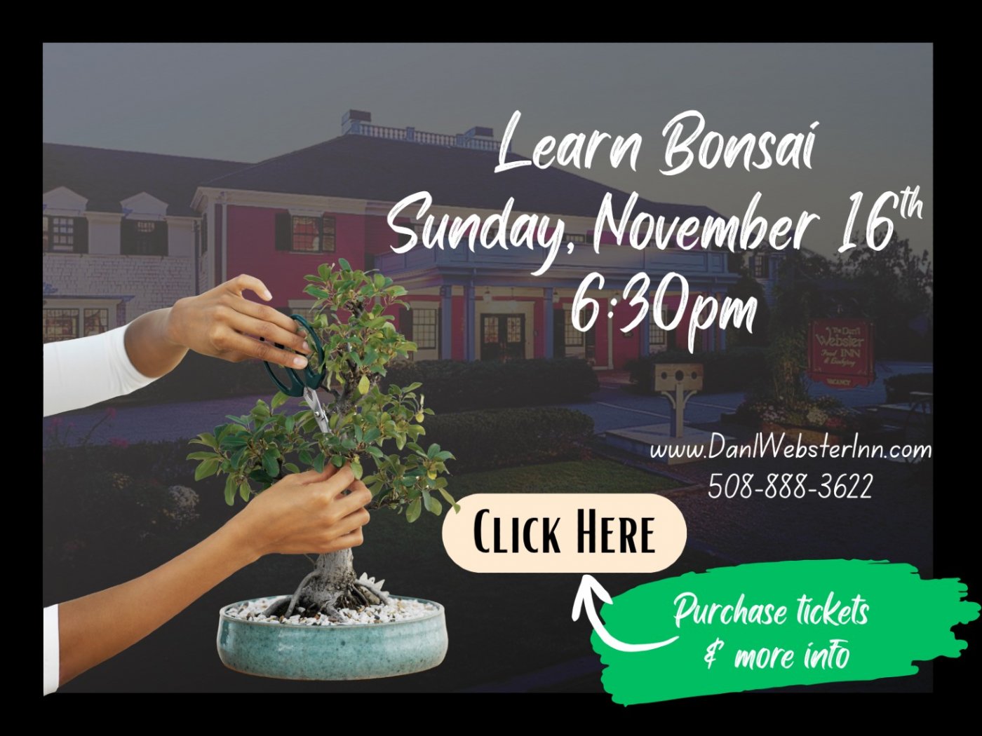 Learn Bonsai with Bonsai Bar