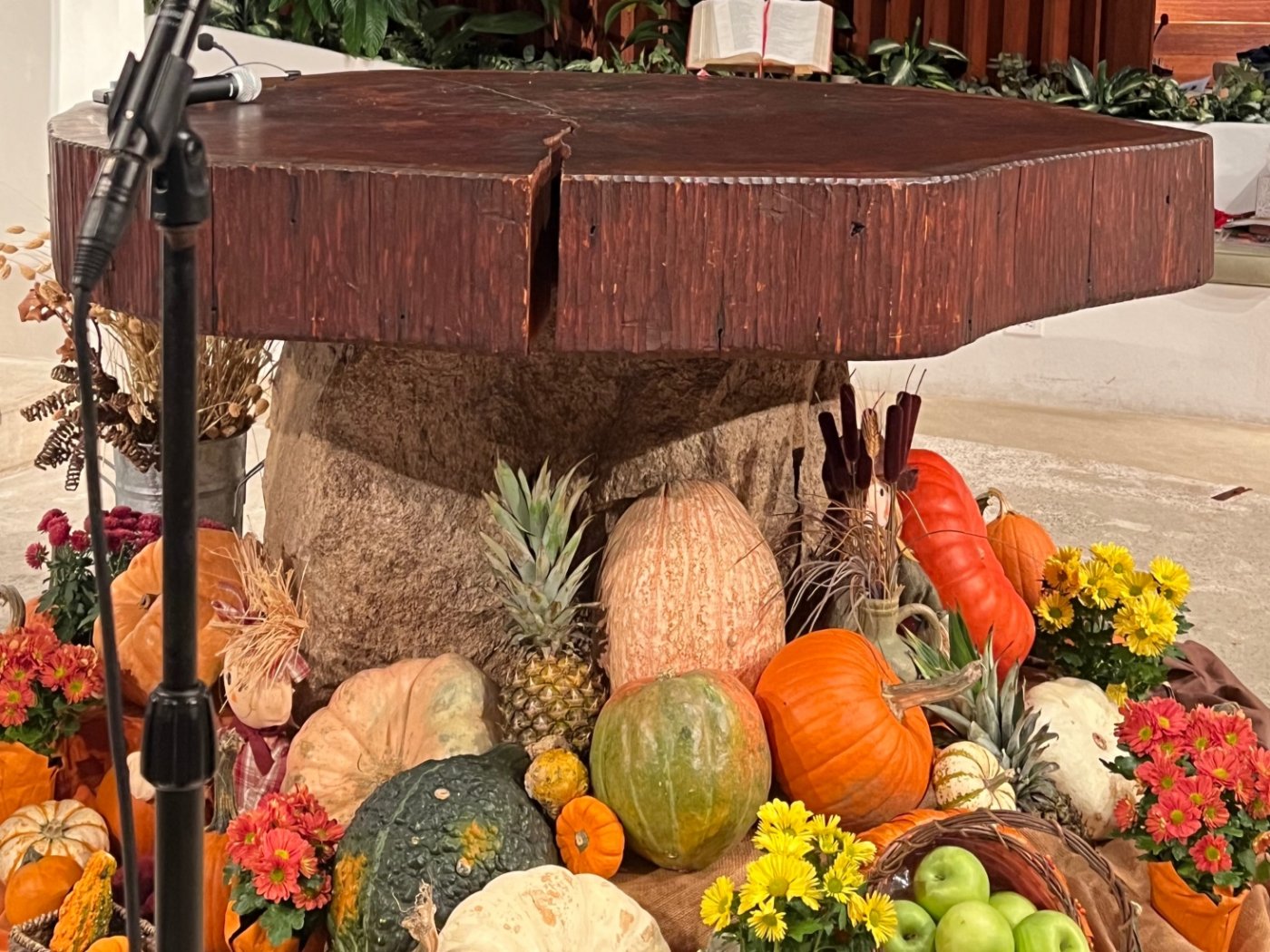 Rowayton Tellabration! 2025 \u2013 An Evening of Storytelling for Grown-Ups