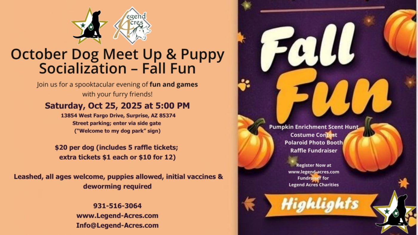 \ud83c\udf83\ud83d\udc3e Pumpkin Pup Social & Scent Hunt \u2013 Service Dog Fundraiser! \ud83d\udc3e\ud83c\udf83