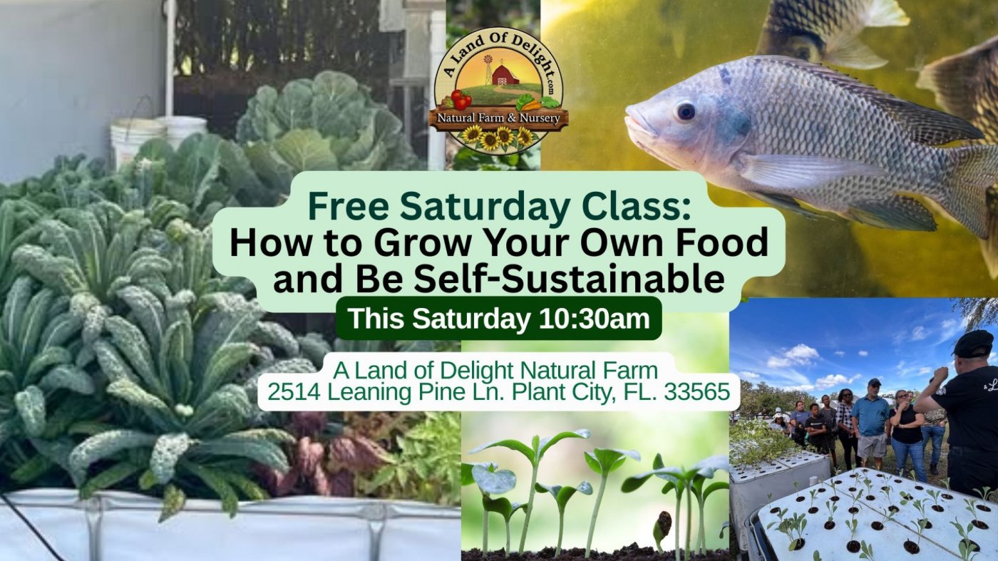 Fall Gardening Made Easy: What to Plant & How to Grow in Central Florida & Aquaponics Made Easy