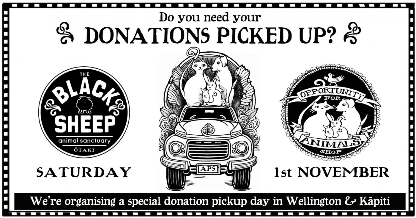 Donation Collection Day!