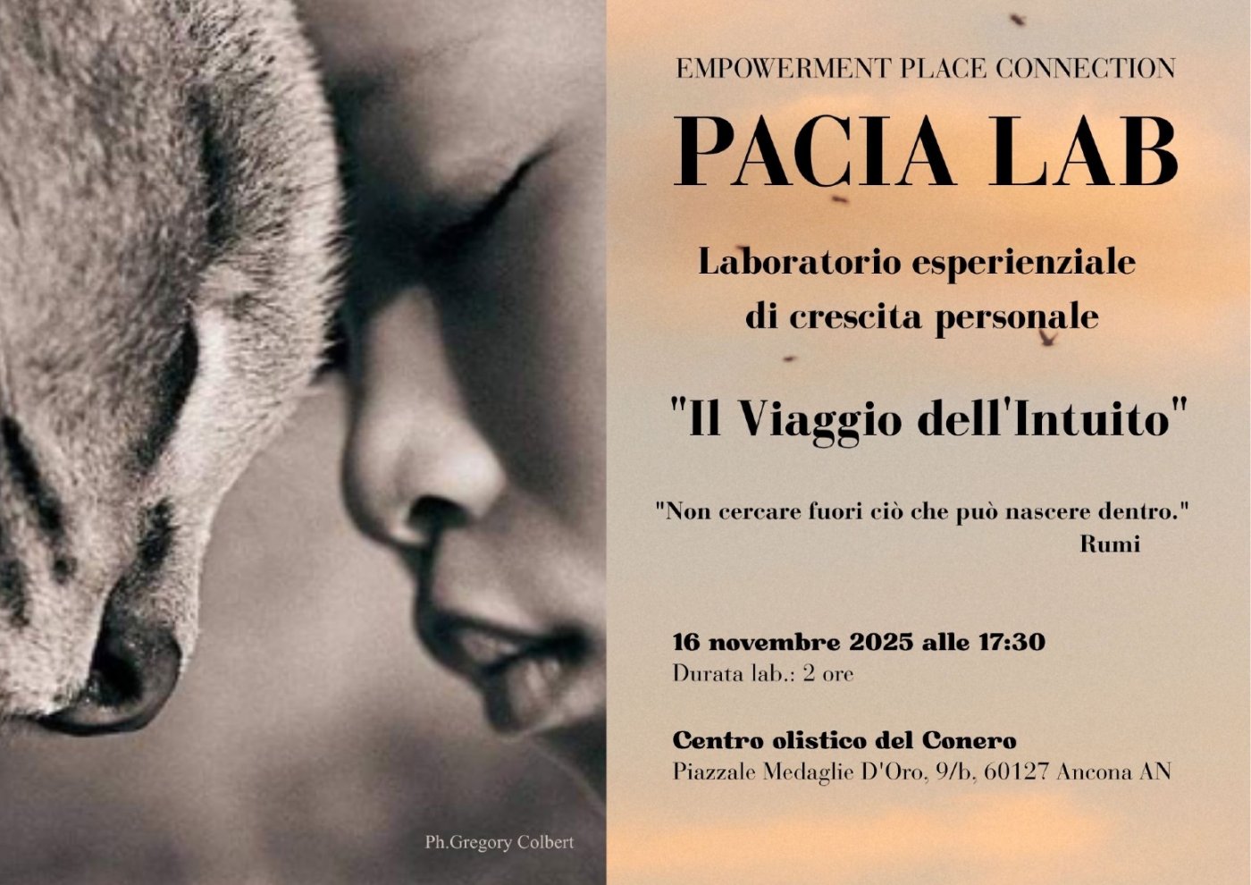 PACIA LAB "Il Viaggio dell'Intuito"