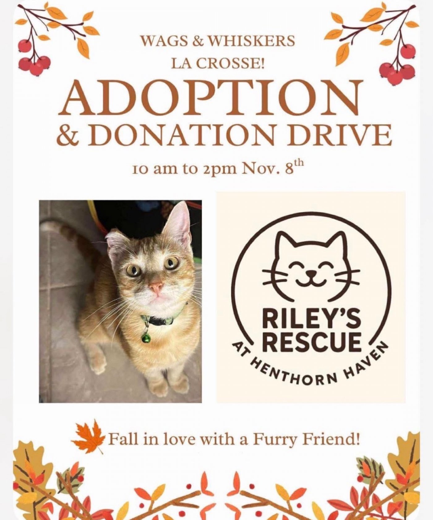 Adoption Meet & Greet Donation Drive 