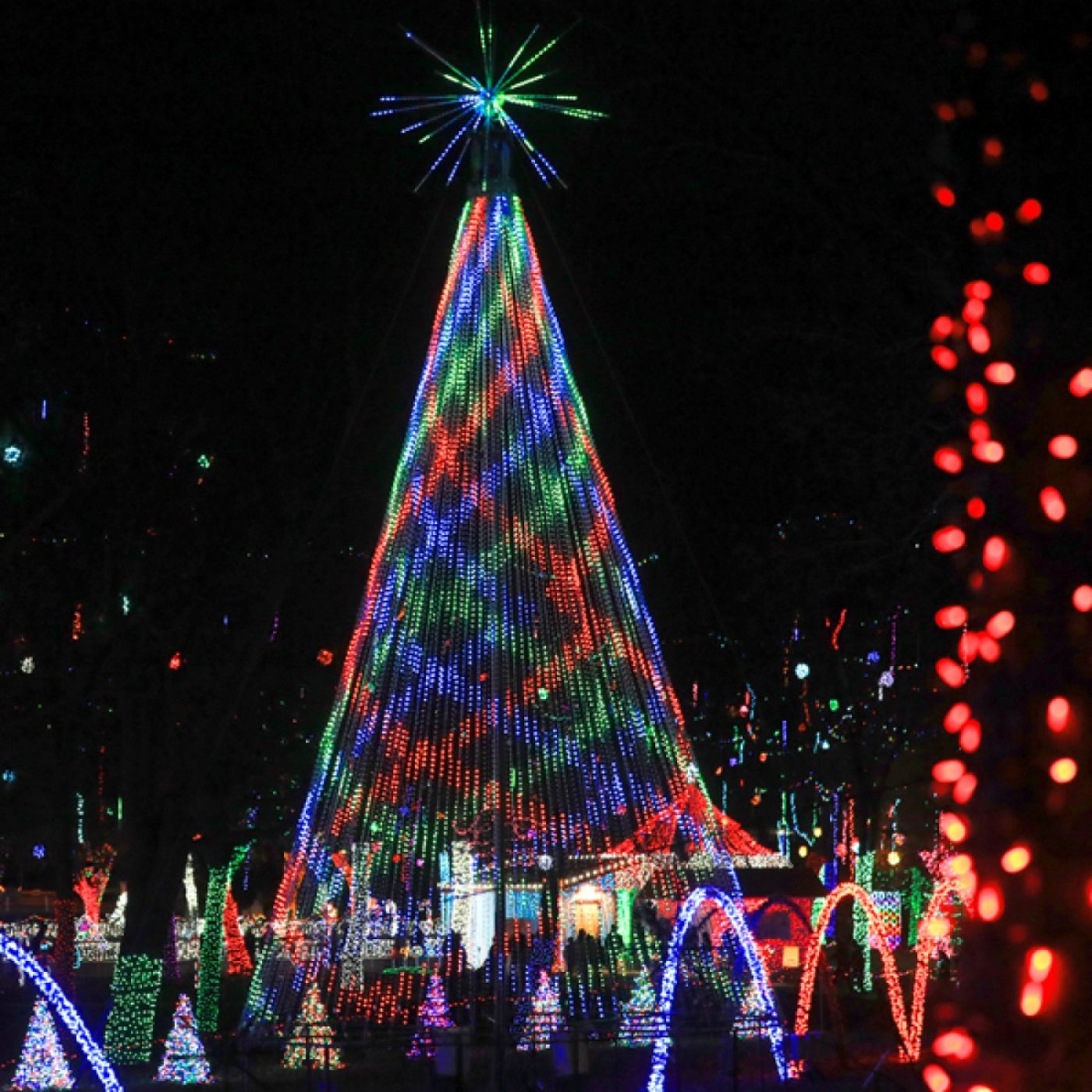 Rhema Christmas Lights