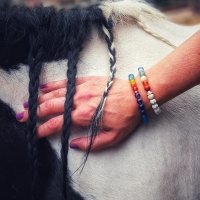 Lotus Blooming Out LLC