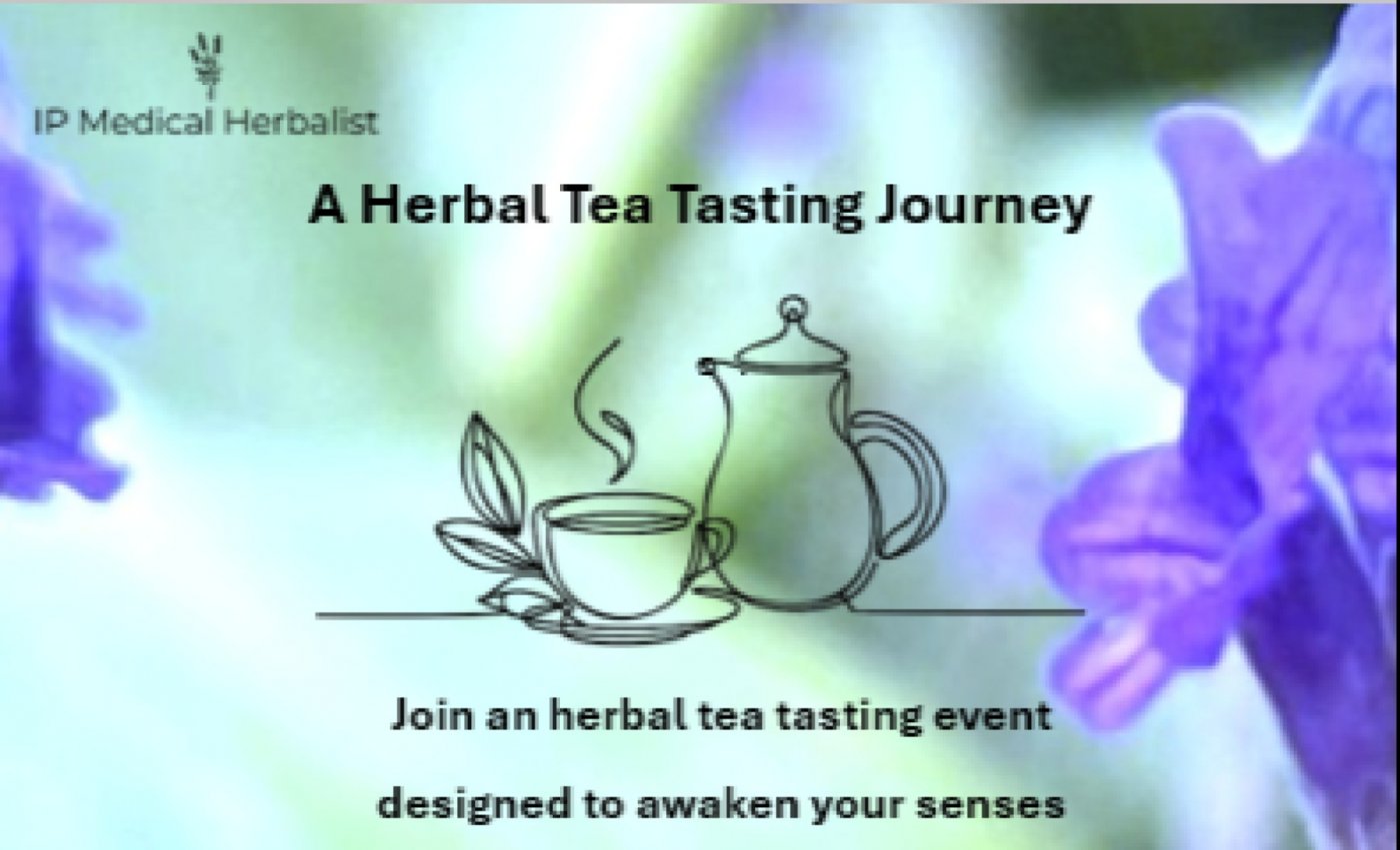 A Herbal Tea Tasting Journey