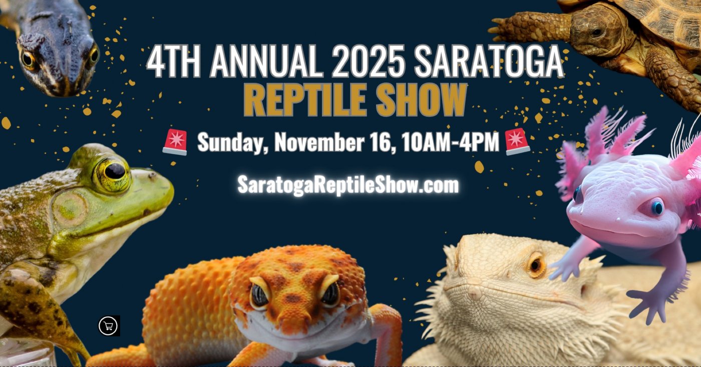 Saratoga Reptile Show - November 16