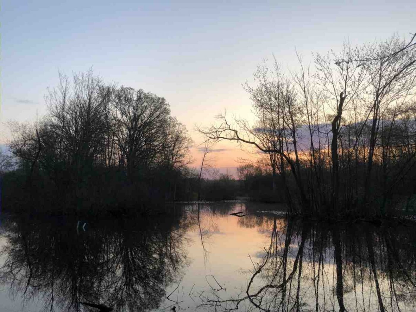 Full Moon Serenade (Beaver Moon)