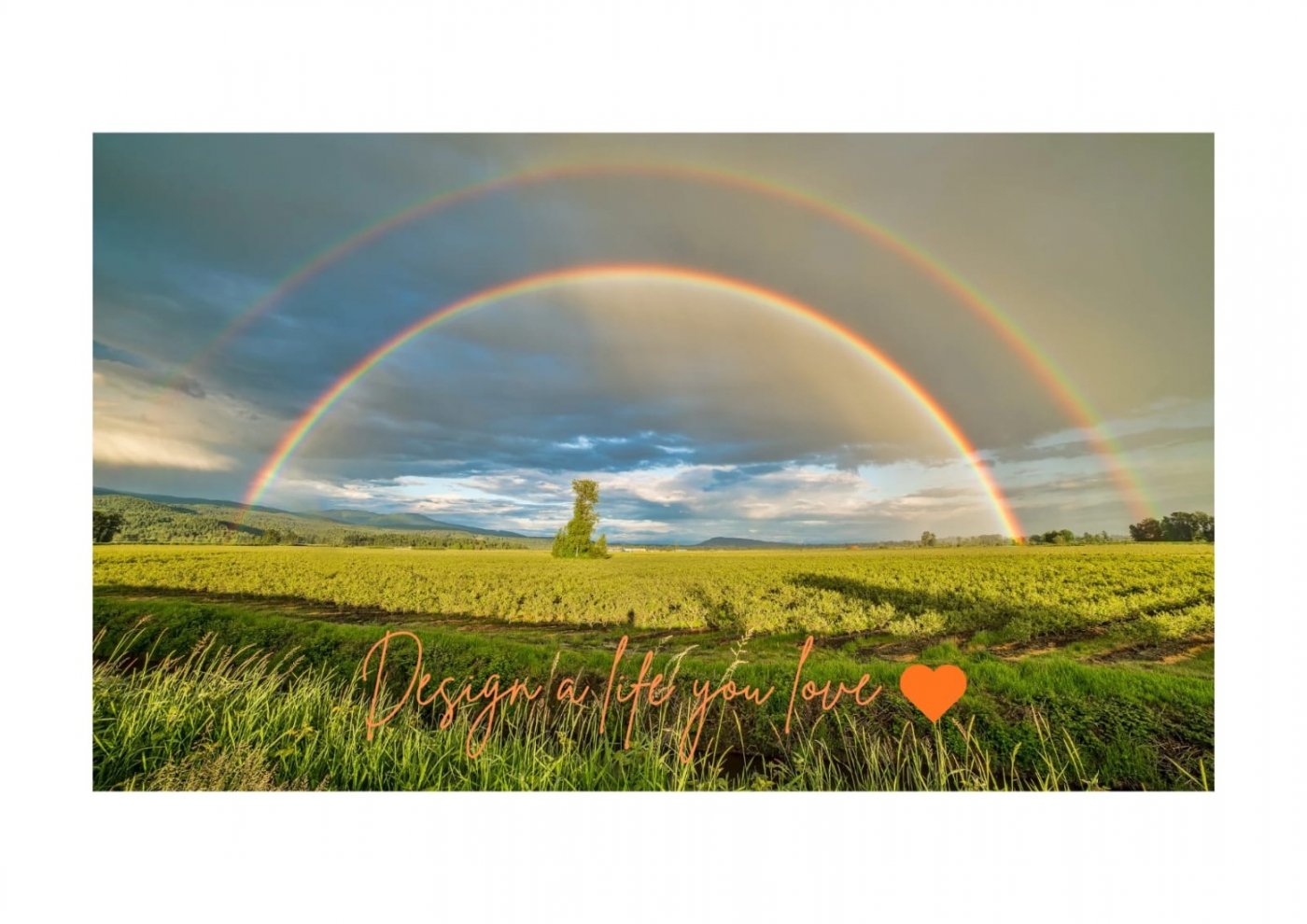 From Vision to Reality: FREE Virtual Hands-On Manifestation Webinar