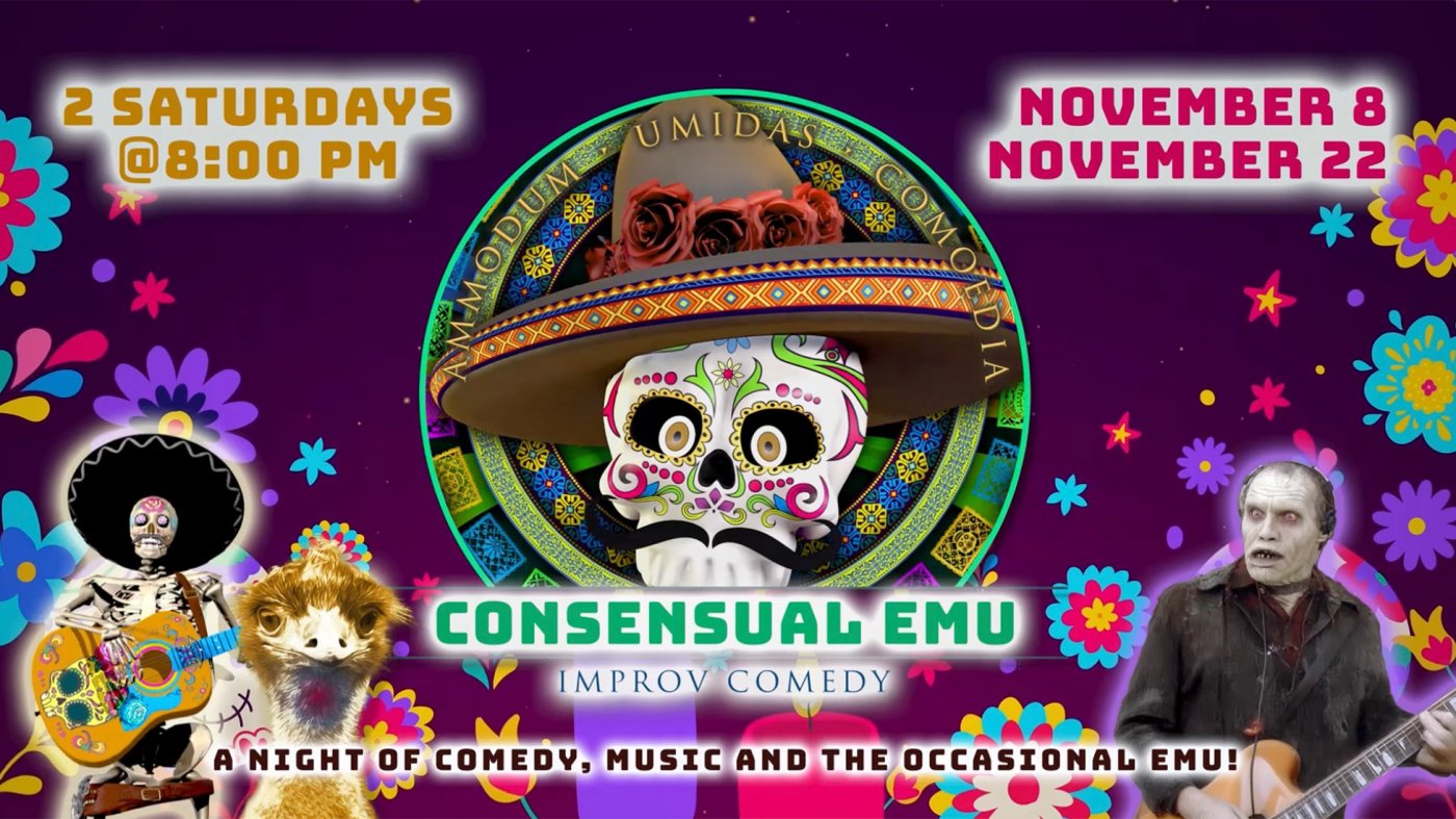 Consensual Emu - Musical Improv Headliner