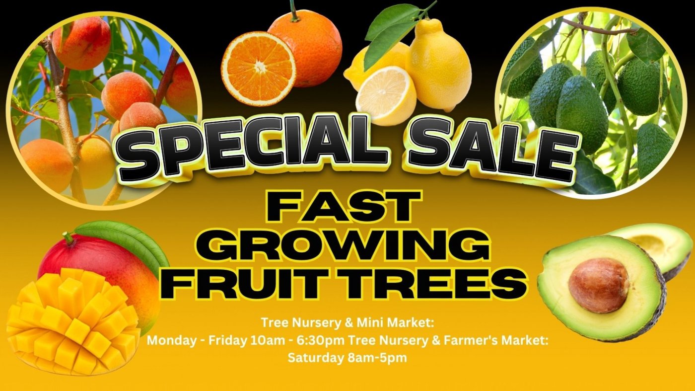 Central Florida\u2019s Biggest Fruit Tree Sale \u2014 1,000+ Grafted, Fast-Fruiting Trees All Week Long!