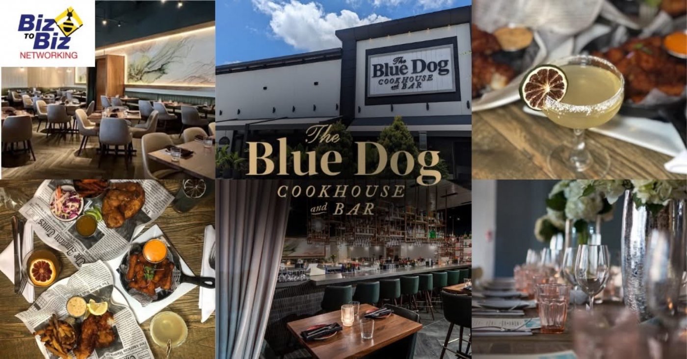 Biz To Biz Networking At The Blue Dog Boca Raton