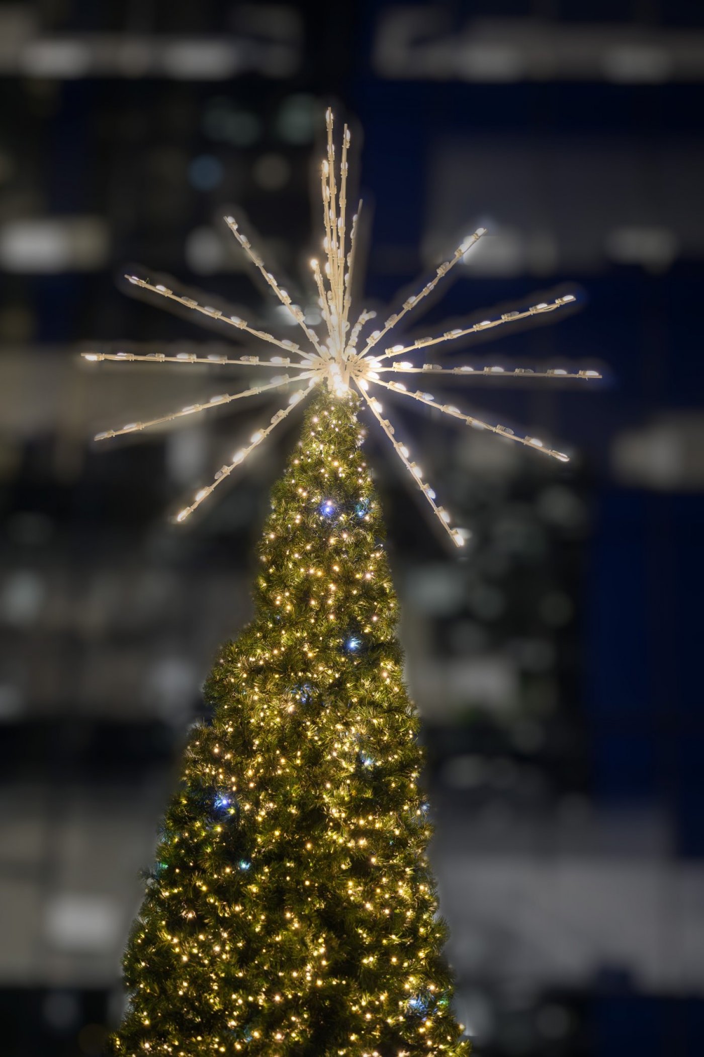 Scarborough Town Centre - Tree Lighting Ceremony 