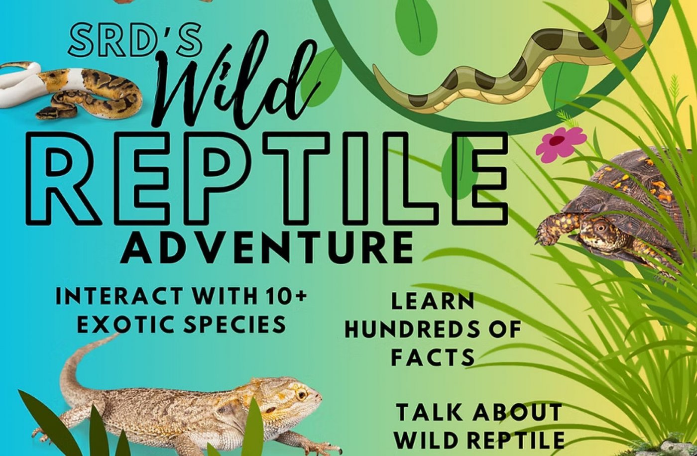SRD's Wild Reptile Adventure Jungle Retreat Ice Cream