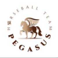 Horseballteam Pegasus