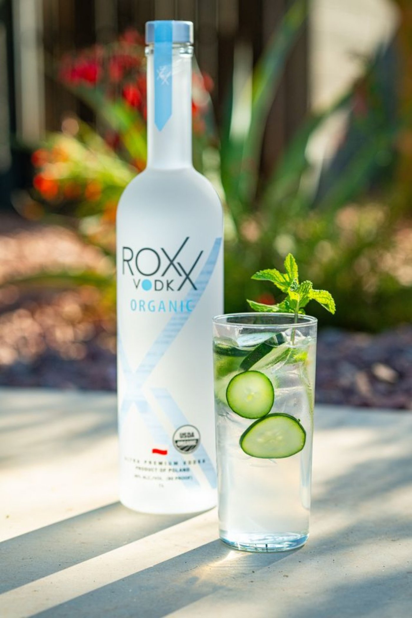 ROXX Vodka Hosts Cardinals Watch Party at Cold Beer & Cheeseburgers