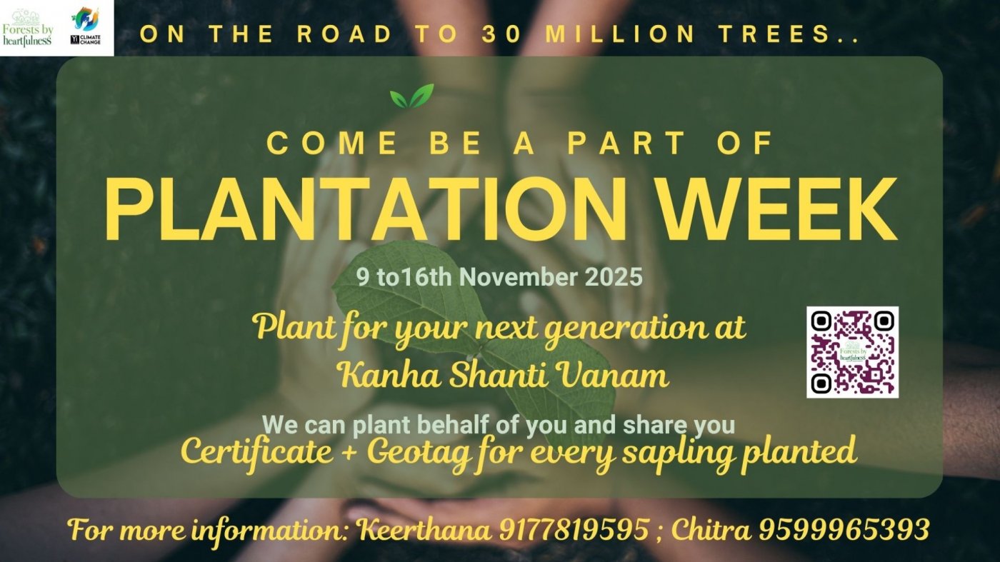 Plantation Week 2025