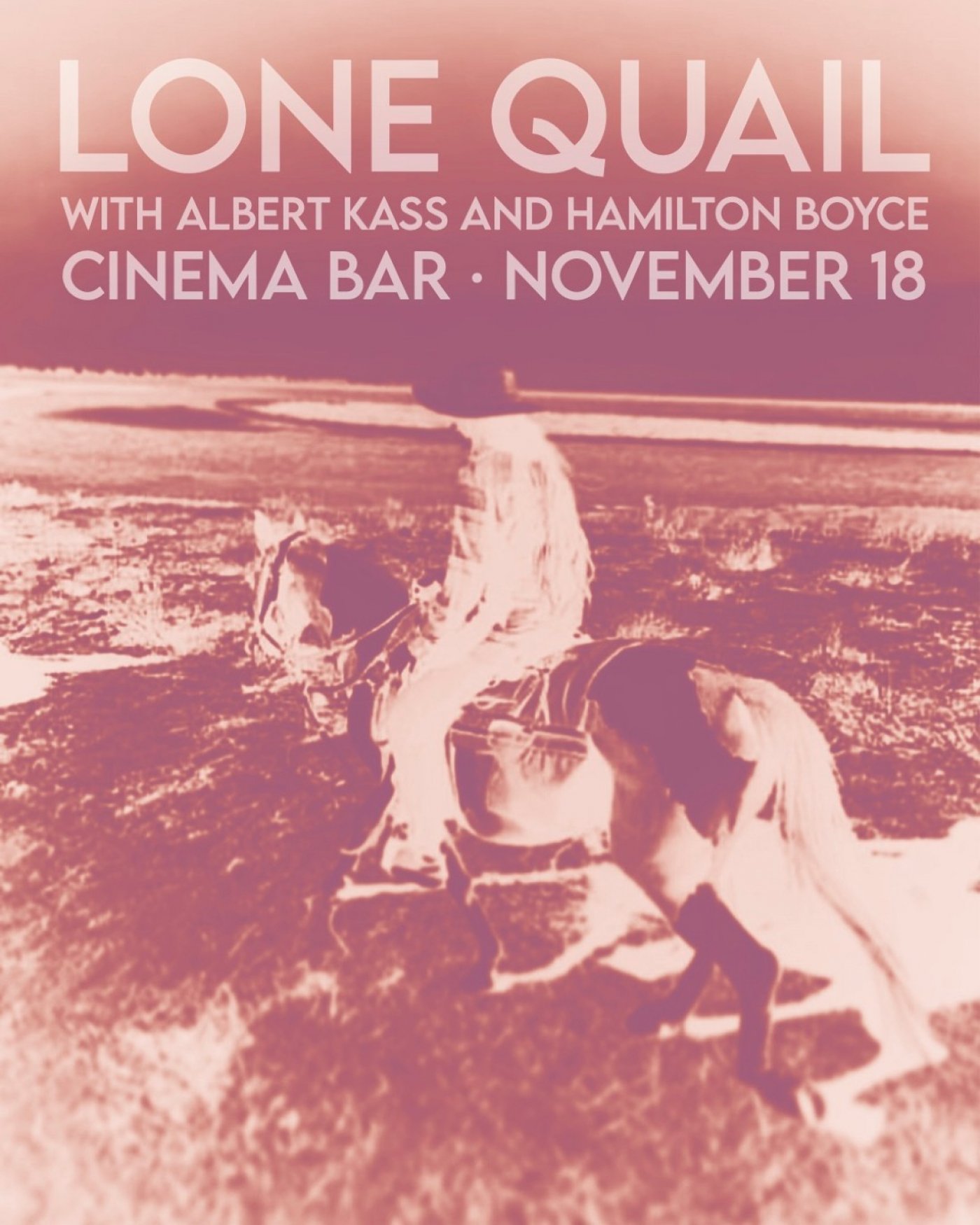 Lone Quail \/ Hamilton Boyce \/ Albert Kass