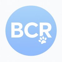BCR Creative Relations