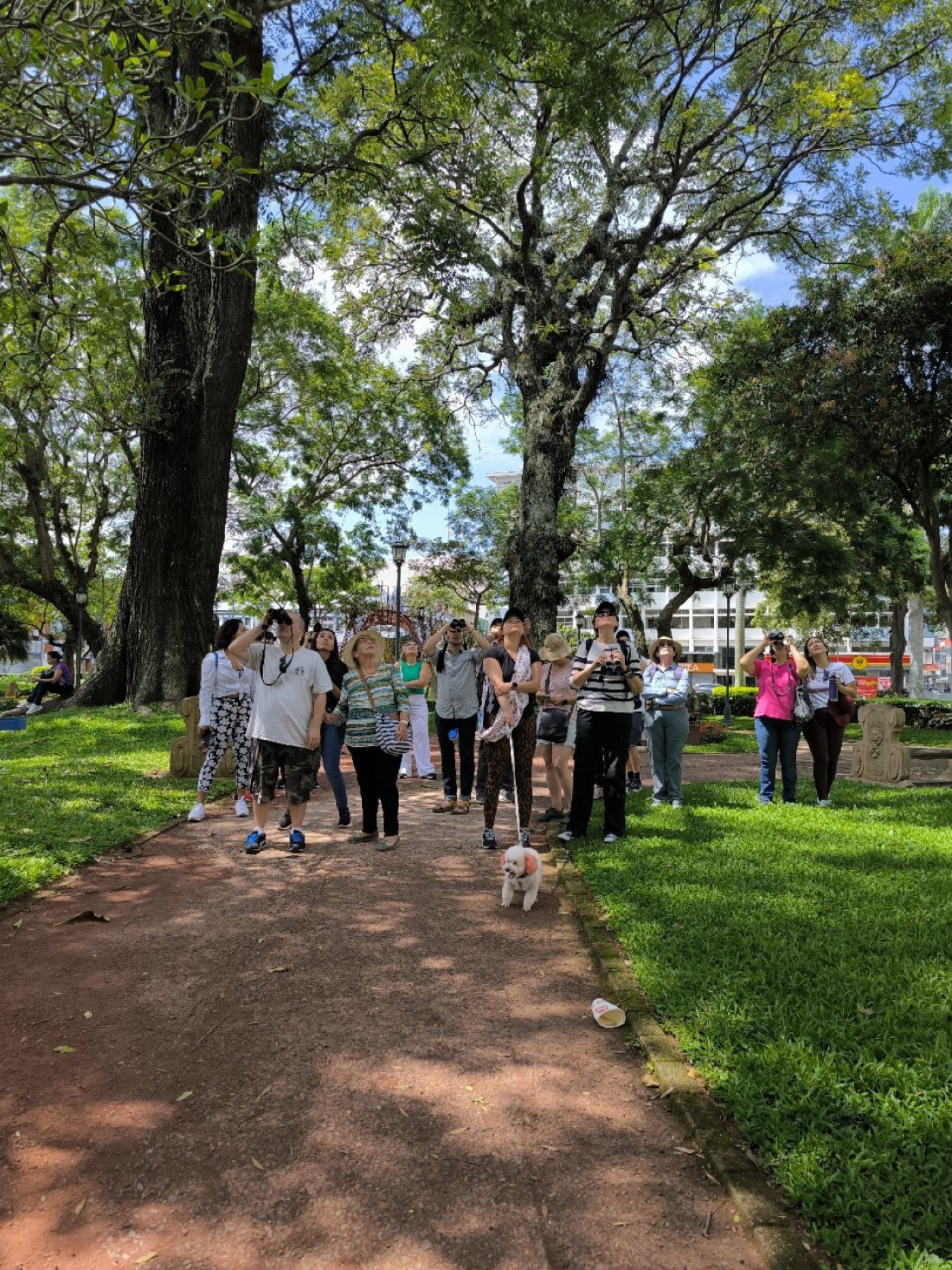 Safari por Historia y Arquitectura: Democracia en Costa Rica (2da Fecha)
