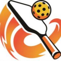 Dayton Metro Pickleball